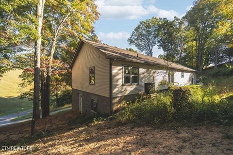 Tiny photo for 1002 Baldwins View Drive, New Market, TN 37820 (MLS # 1326003)