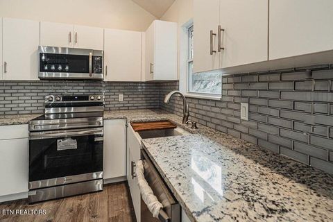 Tiny photo for 1002 Baldwins View Drive, New Market, TN 37820 (MLS # 1326003)