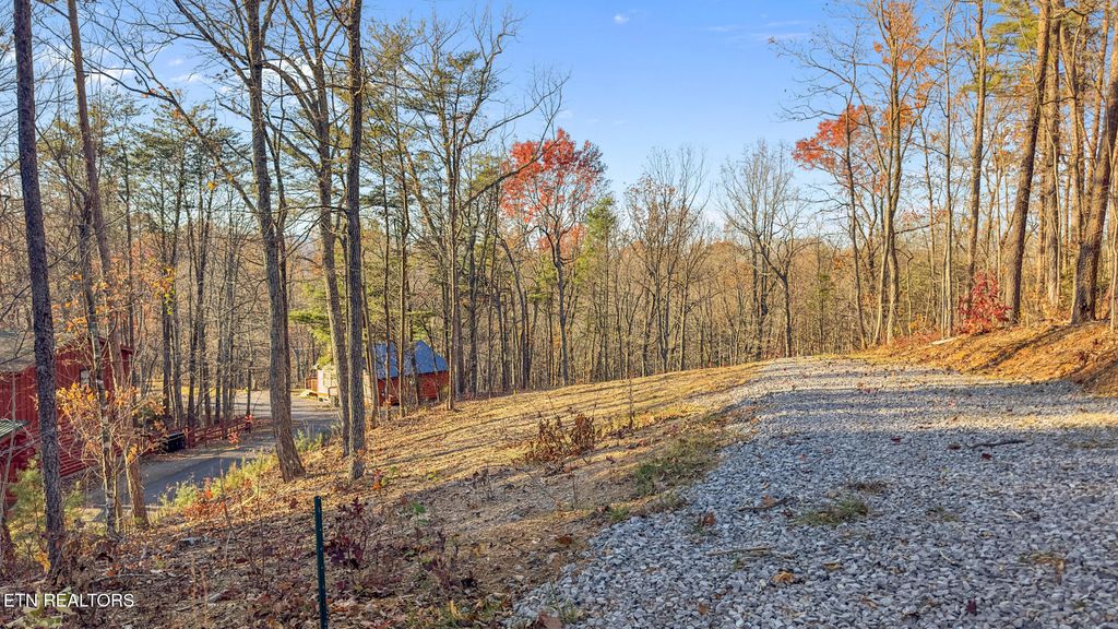 Photo of Ski View Lane, Sevierville, TN 37876 (MLS # 1284720)