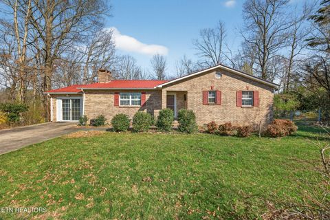 Photo of 9217 Hondo Drive, Crossville, TN 38572 (MLS # 1332844)