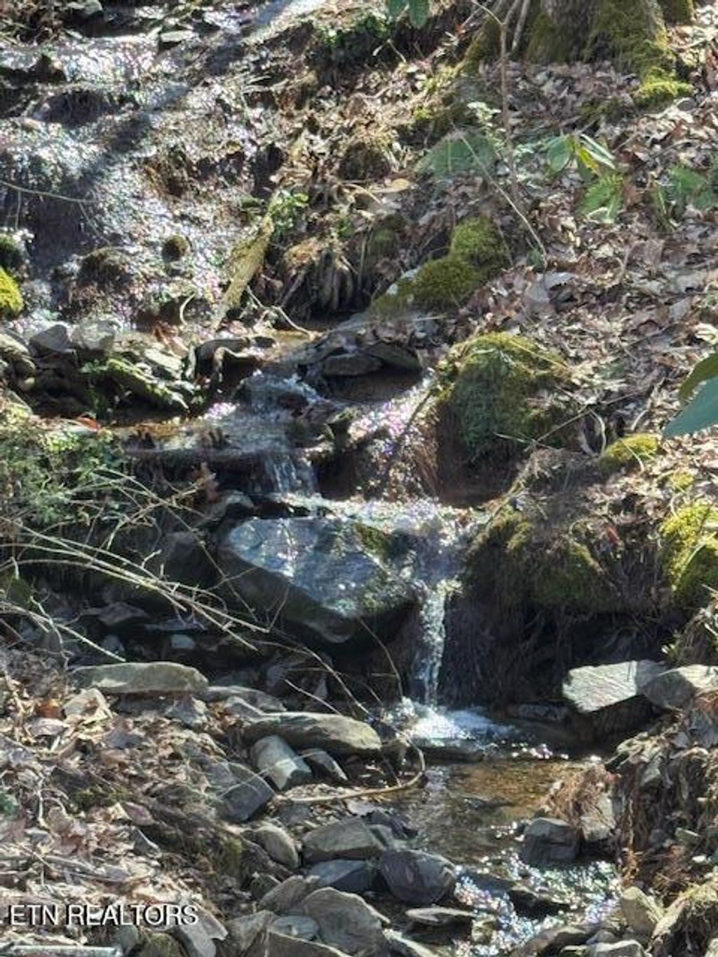 Photo of Cougar Tr, Del Rio, TN 37727 (MLS # 1293527)