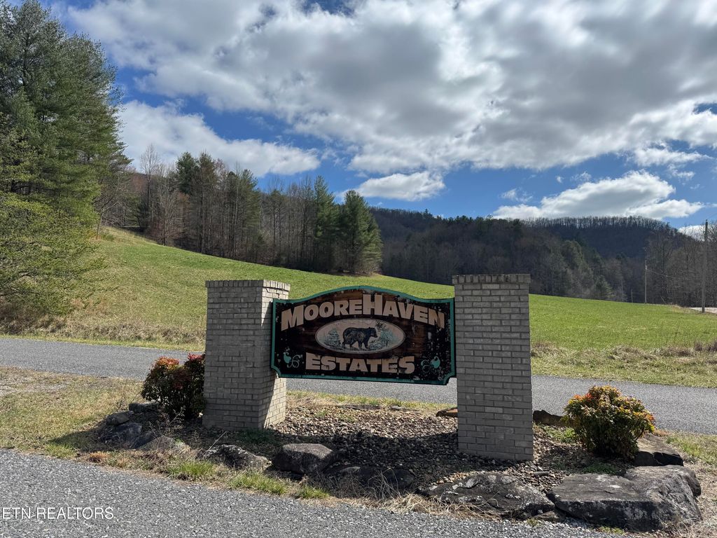 Photo of Cougar Tr, Del Rio, TN 37727 (MLS # 1293527)