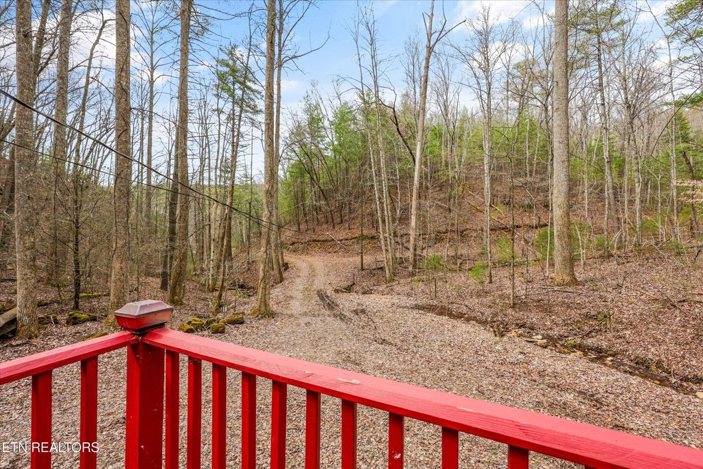Photo of 314 Caney Branch Rd, Tellico Plains, TN 37385 (MLS # 1331651)