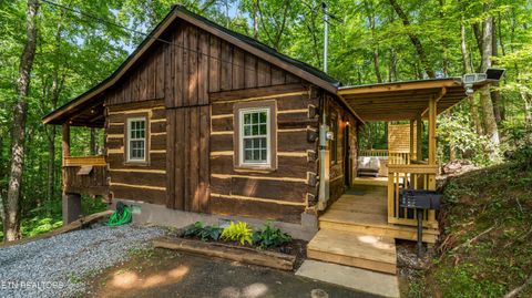 1131 Old Cartertown Rd Gatlinburg TN 37738