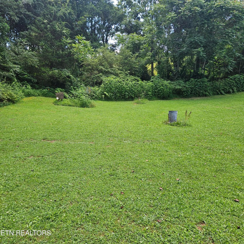 Photo of 1564 Locust Grove Rd Rd, New Tazewell, TN 37825 (MLS # 1309401)