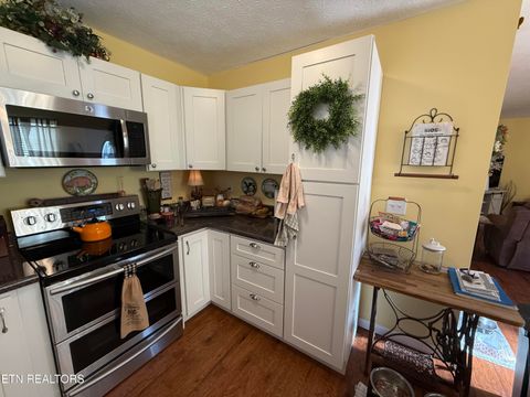 Tiny photo for 1725 Watauga St, Sevierville, TN 37876 (MLS # 1329393)