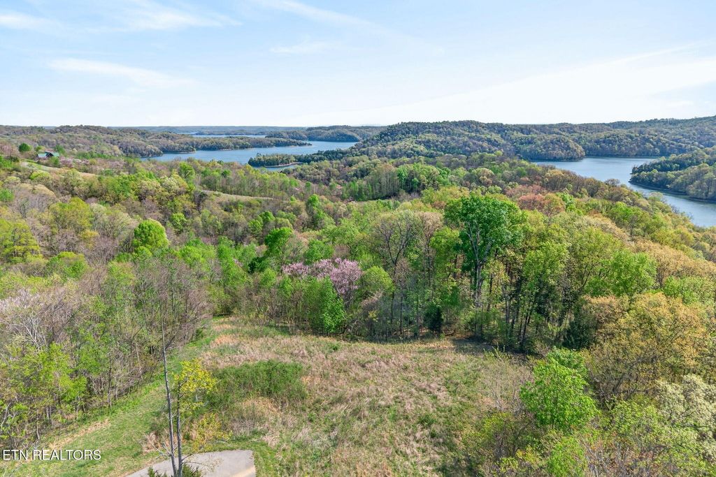 Photo of 581 Goose Rd, Hilham, TN 38568 (MLS # 1335826)