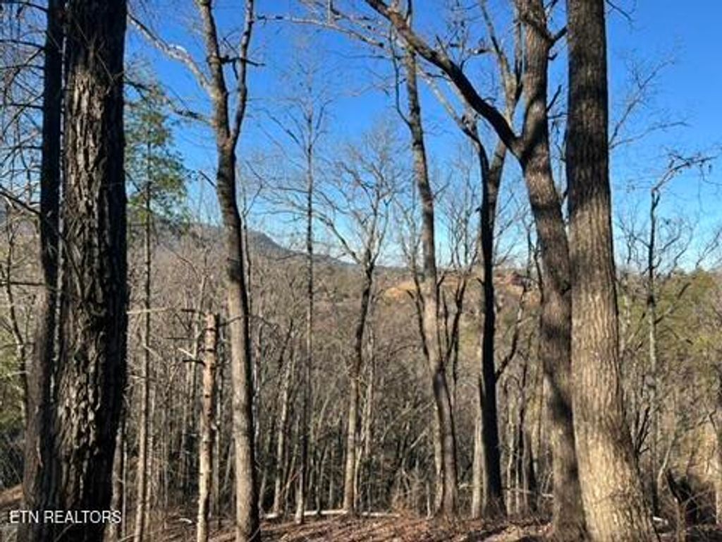 Photo of 2353 Headrick Lead, Sevierville, TN 37862 (MLS # 1329613)