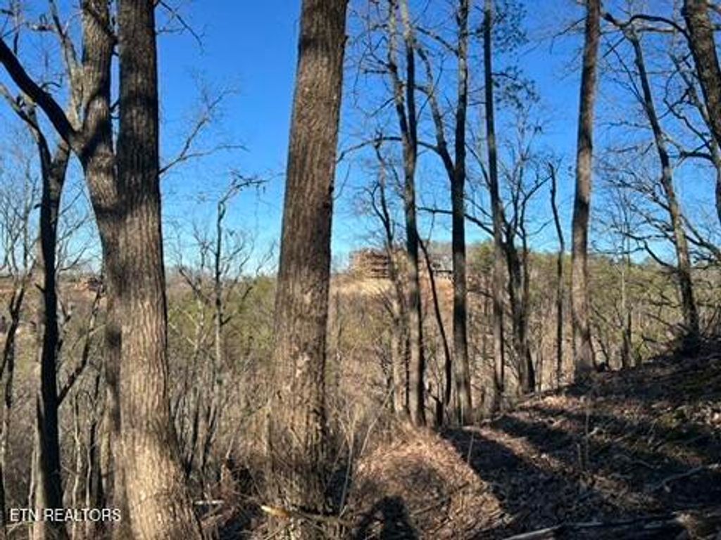 Photo of 2353 Headrick Lead, Sevierville, TN 37862 (MLS # 1329613)