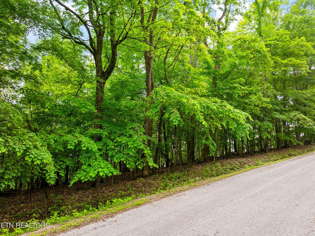 Photo of Running Deer Tr, Caryville, TN 37714 (MLS # 1301735)