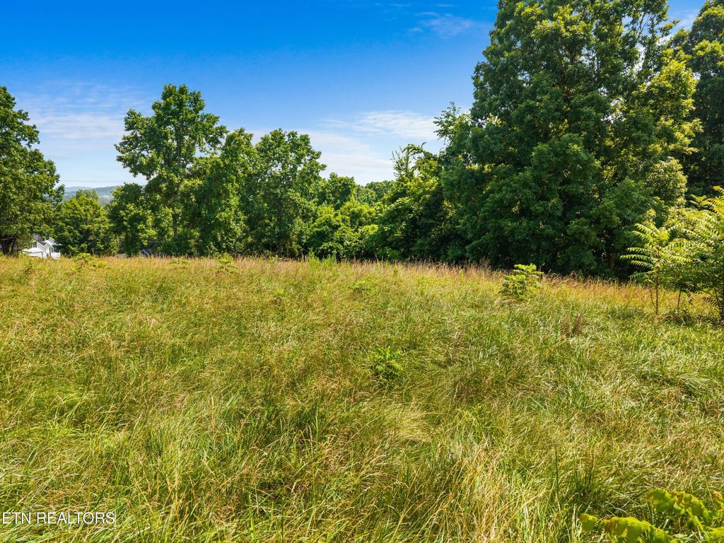 Photo of Pheasant View, Rutledge, TN 37861 (MLS # 1308407)