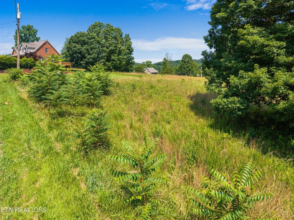 Photo of Pheasant View, Rutledge, TN 37861 (MLS # 1308407)