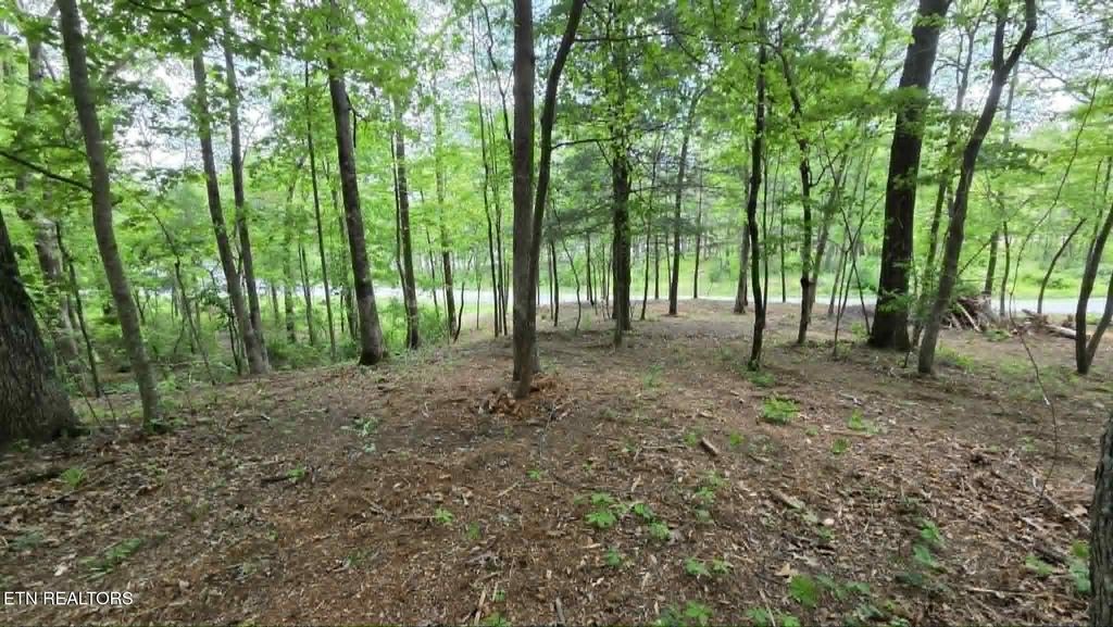 Photo of 810 Keating Loop, Crossville, TN 38555 (MLS # 1340202)