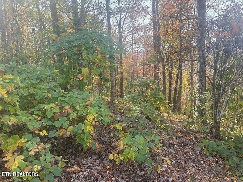 Photo of 28 Della Lane, Rocky Top, TN 37769 (MLS # 1303596)