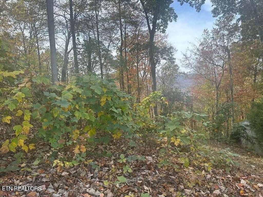 Photo of 28 Della Lane, Rocky Top, TN 37769 (MLS # 1303596)