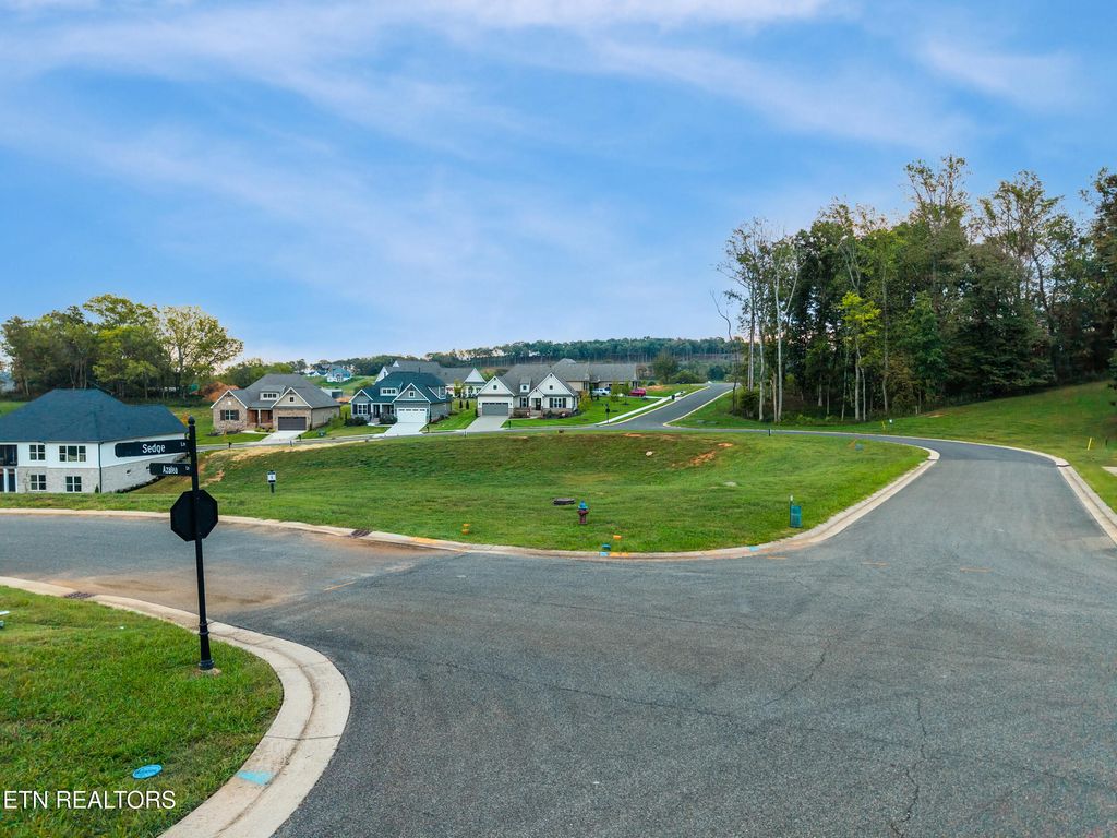 Photo of 249 Sedge Lane, Loudon, TN 37774 (MLS # 1306469)