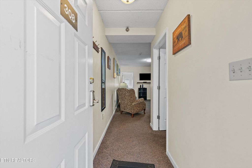 Photo of 413 Baskins Creek Rd #UNIT 308, Gatlinburg, TN 37738 (MLS # 1319658)