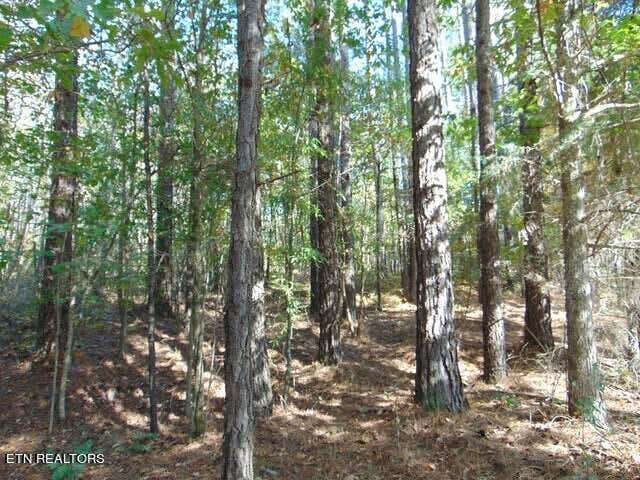 Photo of 24 Charles Road, Decatur, TN 37322 (MLS # 1242426)