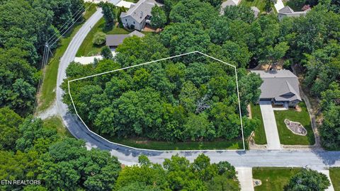 Photo of 153 Trentwood Drive, Crossville, TN 38558 (MLS # 1318285)