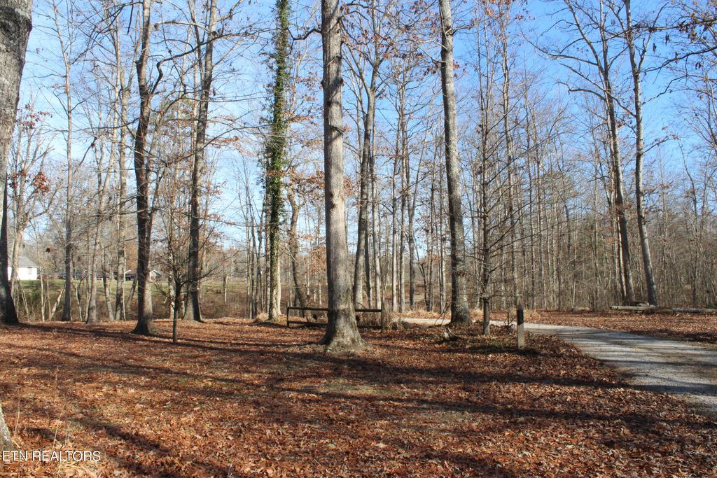 Photo of 2510 Tinchtown Rd, Jamestown, TN 38556 (MLS # 1324291)