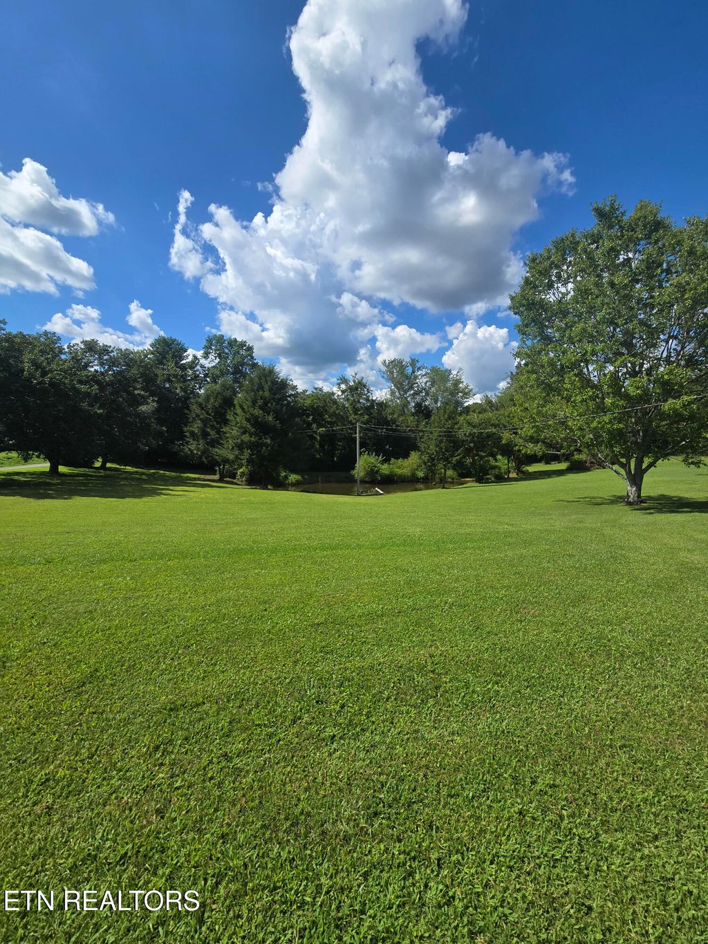 Photo of 115 Cherry St, Deer Lodge, TN 37726 (MLS # 1310019)