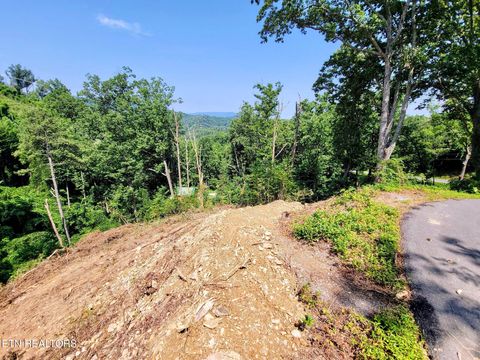 Tiny photo for 1119 E Kings Ridge Rd, Gatlinburg, TN 37738 (MLS # 1328133)