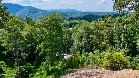 Tiny photo for 1119 E Kings Ridge Rd, Gatlinburg, TN 37738 (MLS # 1328133)