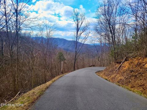 Tiny photo for 1119 E Kings Ridge Rd, Gatlinburg, TN 37738 (MLS # 1328133)