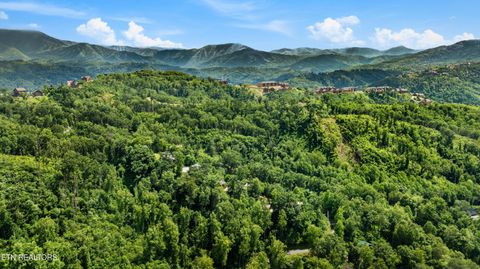 Tiny photo for 1119 E Kings Ridge Rd, Gatlinburg, TN 37738 (MLS # 1328133)