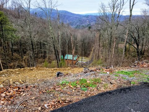 Tiny photo for 1119 E Kings Ridge Rd, Gatlinburg, TN 37738 (MLS # 1328133)