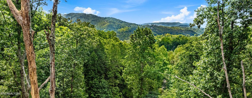 Photo of 1119 E Kings Ridge Rd, Gatlinburg, TN 37738 (MLS # 1328133)