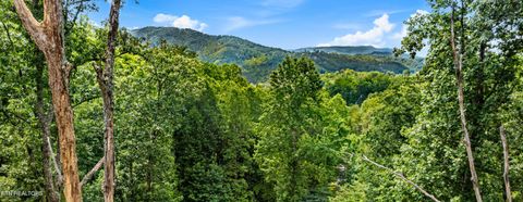 Photo of 1119 E Kings Ridge Rd, Gatlinburg, TN 37738 (MLS # 1328133)