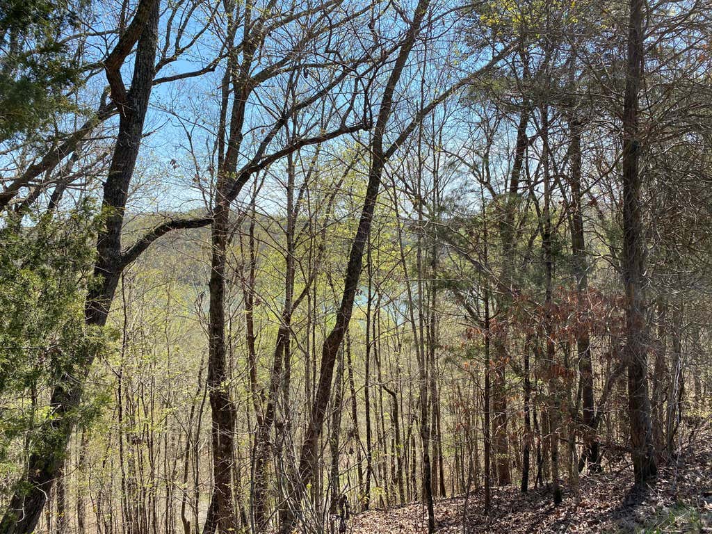 Photo of Ridgeland Drive, Sharps Chapel, TN 37866 (MLS # 1150076)