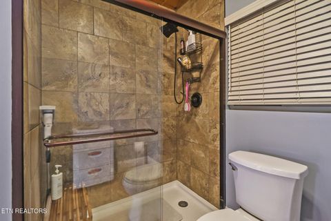 Tiny photo for 182 Just One More Court, Crab Orchard, TN 37723 (MLS # 1334524)