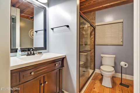 Tiny photo for 182 Just One More Court, Crab Orchard, TN 37723 (MLS # 1334524)