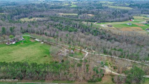 Tiny photo for 182 Just One More Court, Crab Orchard, TN 37723 (MLS # 1334524)