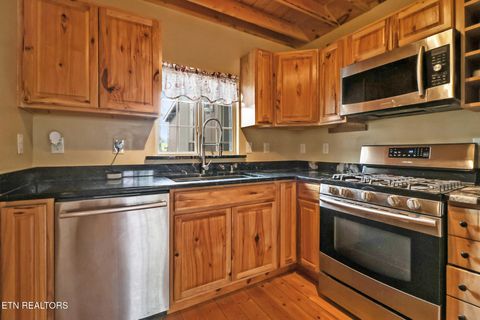 Tiny photo for 182 Just One More Court, Crab Orchard, TN 37723 (MLS # 1334524)