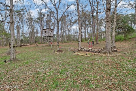 Tiny photo for 182 Just One More Court, Crab Orchard, TN 37723 (MLS # 1334524)