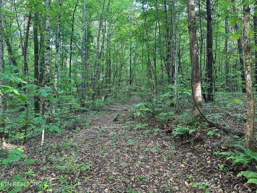 Photo of 2 Unrestricted Land - Graves Rd, Tellico Plains, TN 37385 (MLS # 1301296)