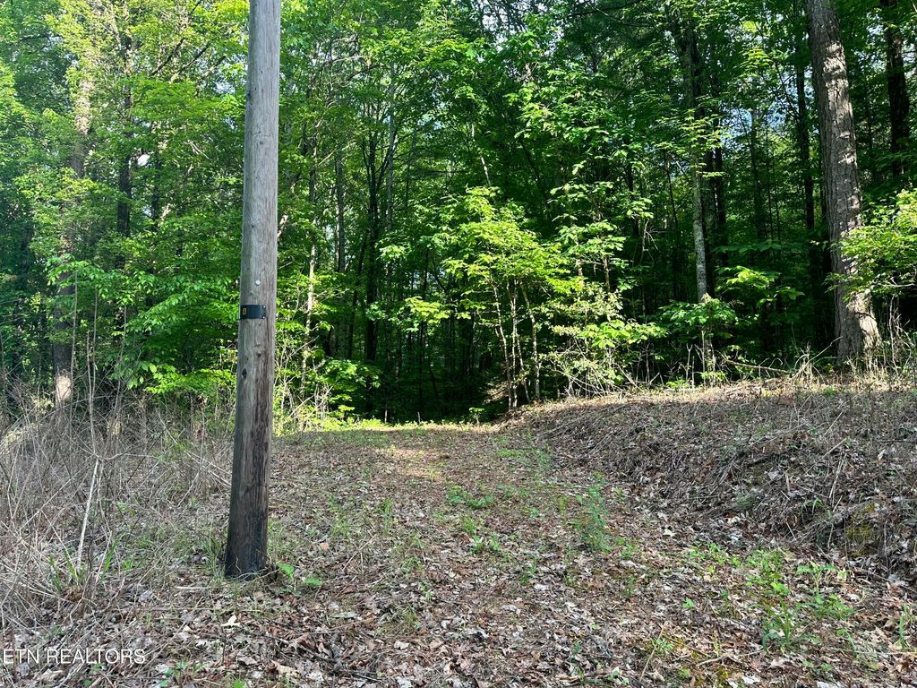 Photo of 2 Unrestricted Land - Graves Rd, Tellico Plains, TN 37385 (MLS # 1301296)