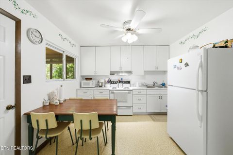 Tiny photo for 1547 Millstone Beach Rd, Dandridge, TN 37725 (MLS # 1338209)