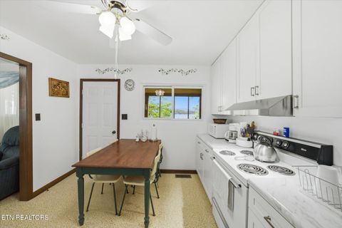 Tiny photo for 1547 Millstone Beach Rd, Dandridge, TN 37725 (MLS # 1338209)