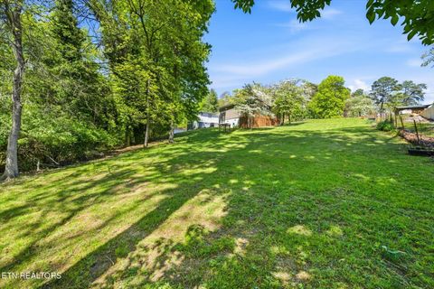 Tiny photo for 1547 Millstone Beach Rd, Dandridge, TN 37725 (MLS # 1338209)