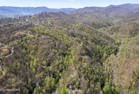 Tiny photo for 509 Adams Road Rd, Gatlinburg, TN 37738 (MLS # 1336121)