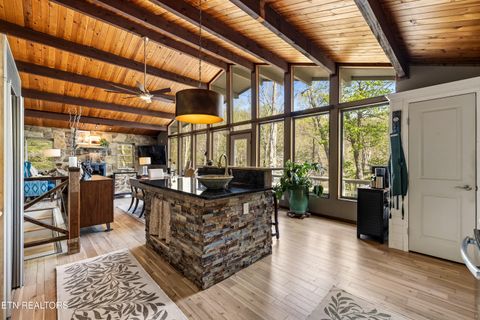 Tiny photo for 509 Adams Road Rd, Gatlinburg, TN 37738 (MLS # 1336121)