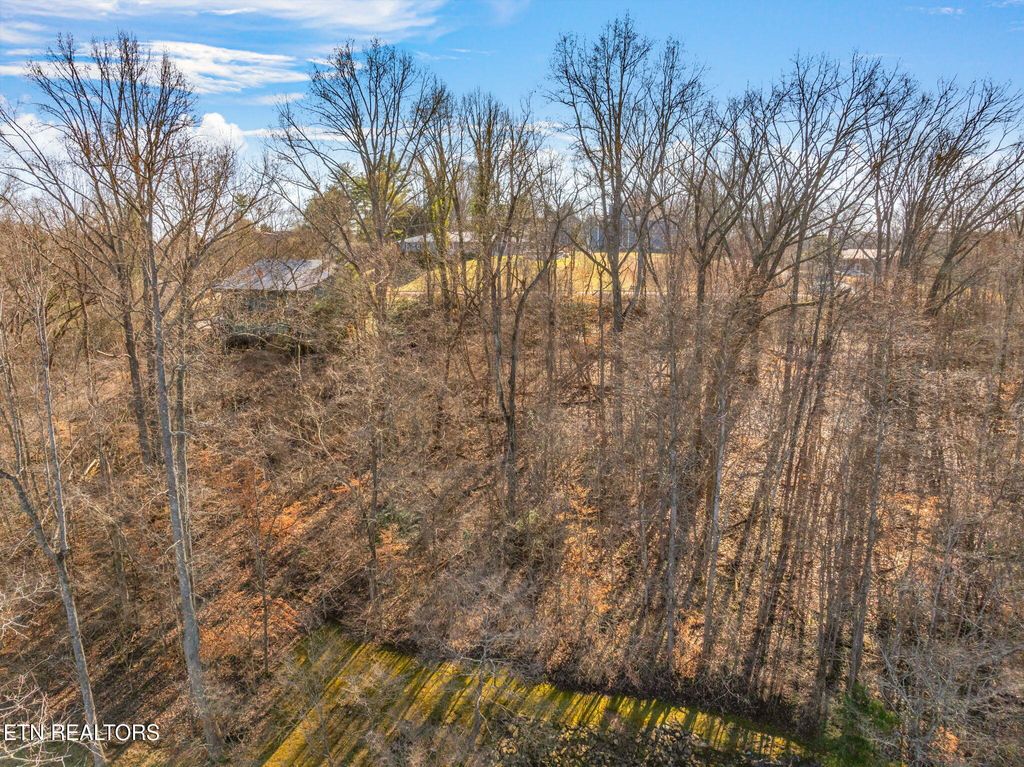 Photo of 48 Orchard Knob Rd, Clinton, TN 37716 (MLS # 1312404)