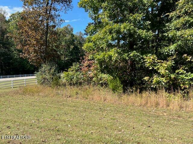 Photo of Appaloosa Trail, Rockwood, TN 37854 (MLS # 1350836)