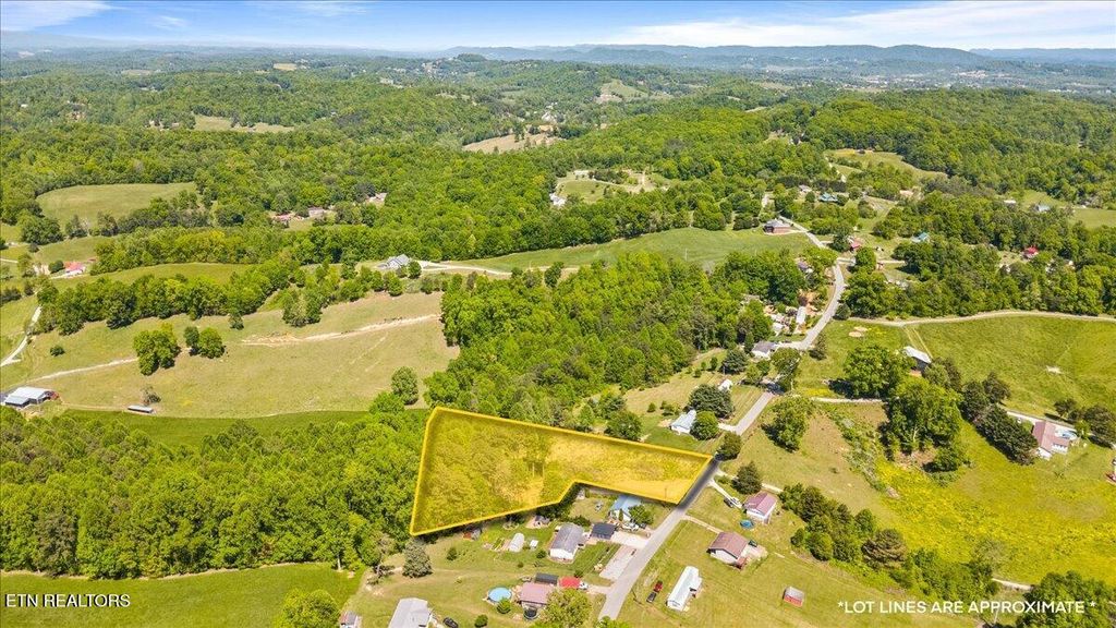 Photo of 2116 Snodgrass Rd, New Tazewell, TN 37825 (MLS # 1338558)