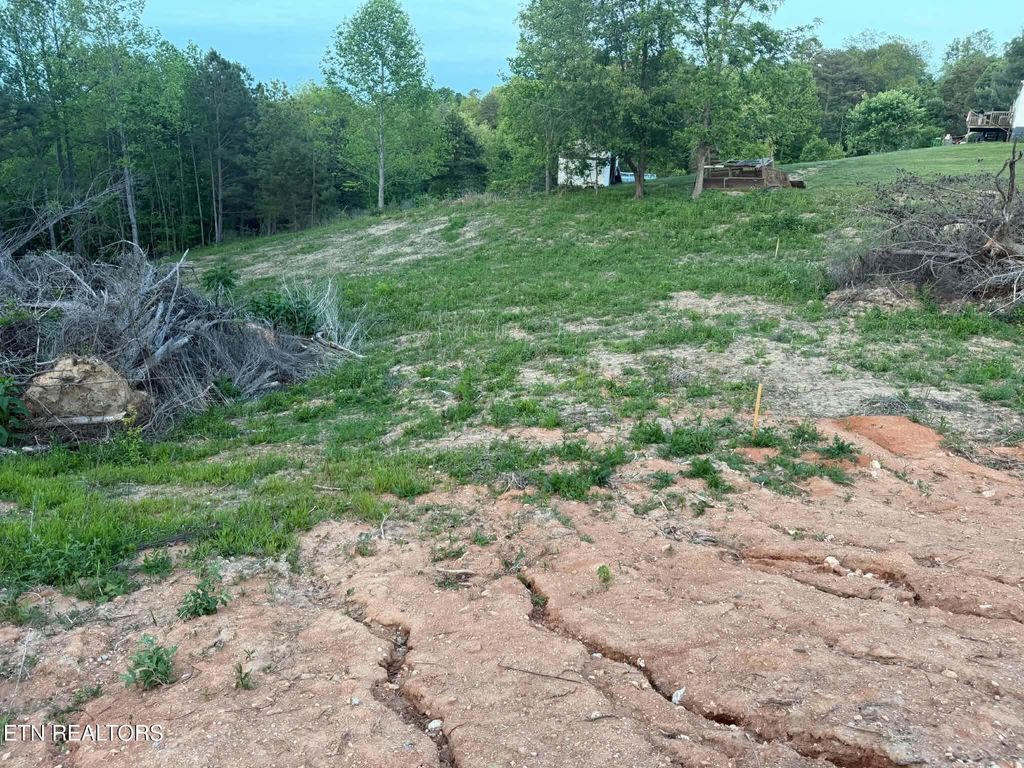Photo of 2116 Snodgrass Rd, New Tazewell, TN 37825 (MLS # 1338558)