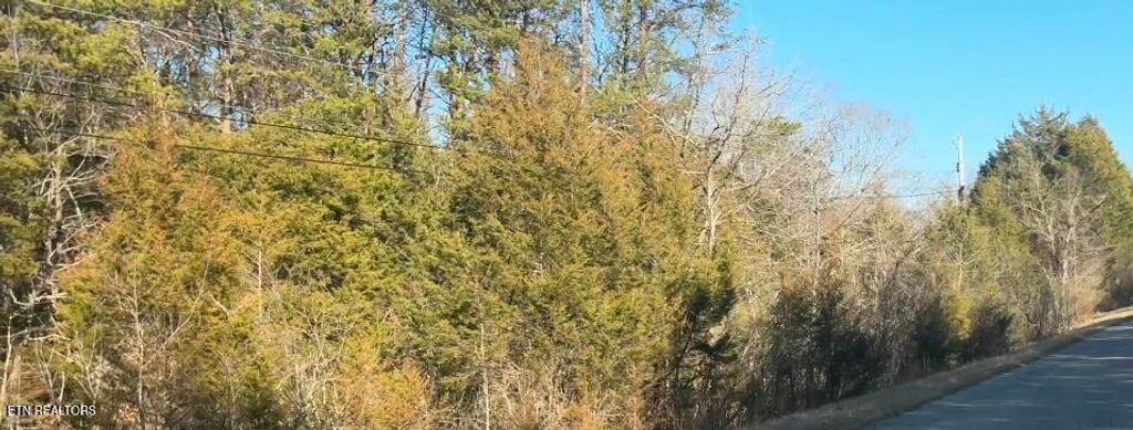 Photo of 0 Alex Bales Rd Lot 1 Rd, Kodak, TN 37764 (MLS # 1333440)